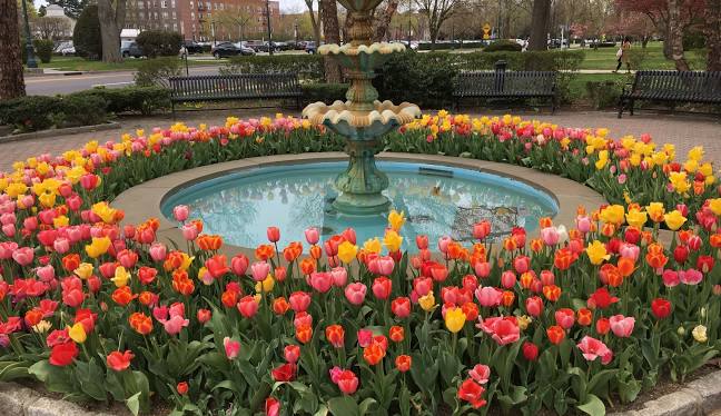 Garden City, NY
